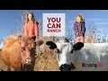 Giving Thanks for Kids and Cows