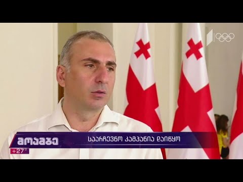 საარჩევნო კამპანია