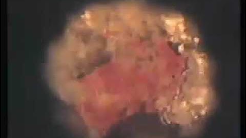 Two-phase flow regimes