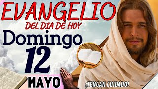 Evangelio del día de Hoy Domingo 12 de Mayo de 2024 |Lectura y Reflexión | #evangeliodehoy