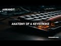 Quick Take: Anatomy of a Keystroke