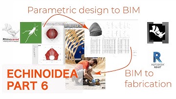 Echinoidea Part 6 | Moving the Geometry from Grasshopper with Rhino Inside Revit and Revit families