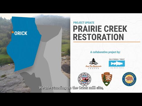 Prairie Creek Restoration 2022