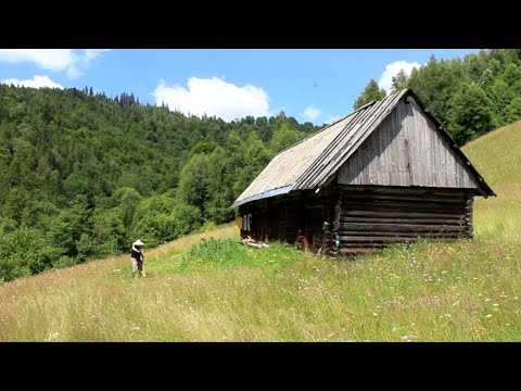 Видео: 100 летний заброшенный лесной дом прадедушки, [эпизод 3] Выживание в лесу.