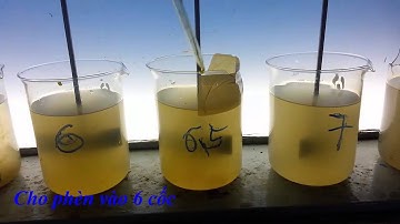 thi nghiem jartest - dieu chinh PH