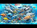 Most Stunning Underwater Life in 16K 120fps HDR™ | Deep Ocean, Sea Creatures &amp; Marine World (4K/8K)