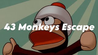 43 Monkeys Escape in South Carolina