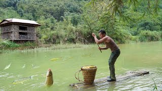 видео: жизнь на выживание, генеральный директор делает бамбуковые доски, чтобы плавать по ручьям, дикая рыб картинка: жизнь на выживание, генеральный директор делает бамбуковые доски, чтобы плавать по ручьям, дикая рыб