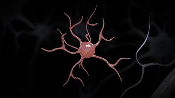 Immune cells trigger neurodegeneration