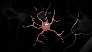 Immune cells trigger neurodegeneration