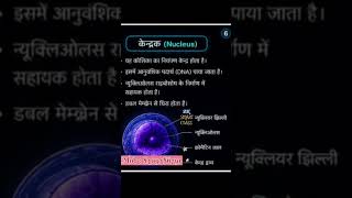 #studyreels #biology #class10 #notes #education #studywithme #upsc #sciece