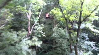 Steve on Zipline