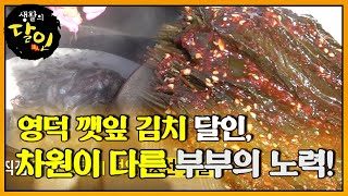 영덕 깻잎 김치 달인, 젓갈도 직접 담그며 정성 가득한 과정ㅣ생활의 달인(A Master Of Living)ㅣSBS Story