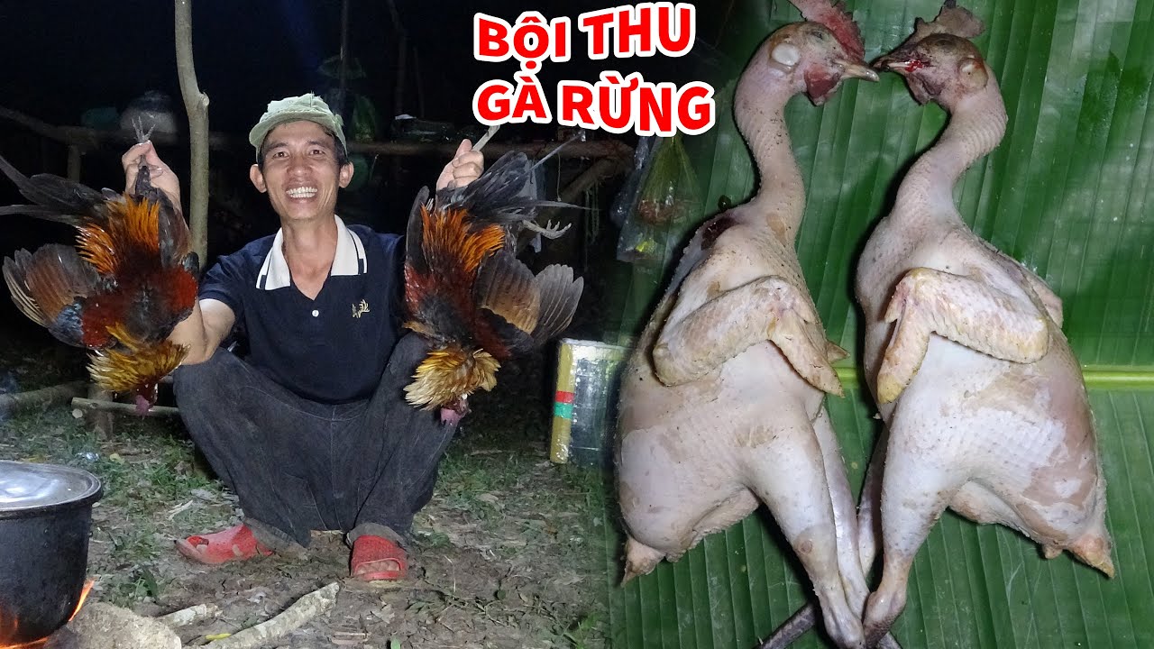 SĂN GÀ RỪNG SOI ĐÊM, NGỦ RỪNG, CUỘC SỐNG TRONG RỪNG - Mùa Mật Ong Rừng 2023 | T2