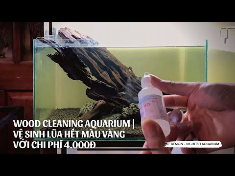 Video Xử Lý Lũa Trước Khi Setup Bể Cá Thuỷ Sinh Đúng Cách... - youtube