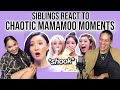 Siblings react to chaotic mamamoo moments i can't forget😂💜👌 | REACTION