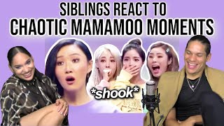 Siblings react to chaotic mamamoo moments i can't forget😂💜👌 | REACTION