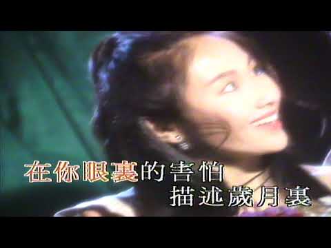 黎姿 Gigi Lai/ 張衛健 Dicky Cheung - 我這樣愛你錯了嗎 (一串痴情一串淚)
