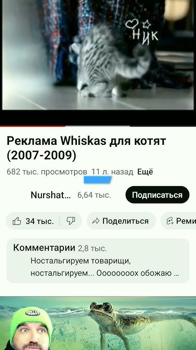 реклама вискас - YouTube
