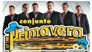 Conjunto primavera mix romanticas lo mejor by EL AREMANGADO MS 1,206 views 6 years ago 59 minutes