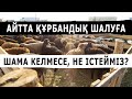 ҚҰРБАНДЫҚ ШАЛУҒА ШАМА ЖЕТПЕСЕ НЕ ІСТЕУ КЕРЕК? | ЕРЛАН АҚАТАЕВ