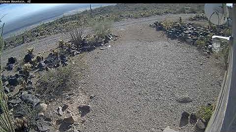 Timelapse Video of Oatman Mountain 20251113