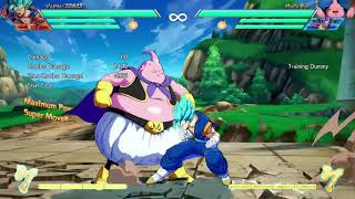 Vegitto Auto Combo Tech