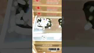 Bếp Gas Rinnai Rv-460S 6 Tấc Nhỏ Gọn