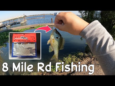 ルアー・フライ A.H.P.L. ANGRYGILL BLUEGILL maxresdefault.jpg