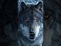 The Silent Hunters of the Frozen Forest. #scary #storytelling #mystery #horror