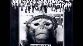 Agathocles   Violent Noise Attack FULL SPLIT