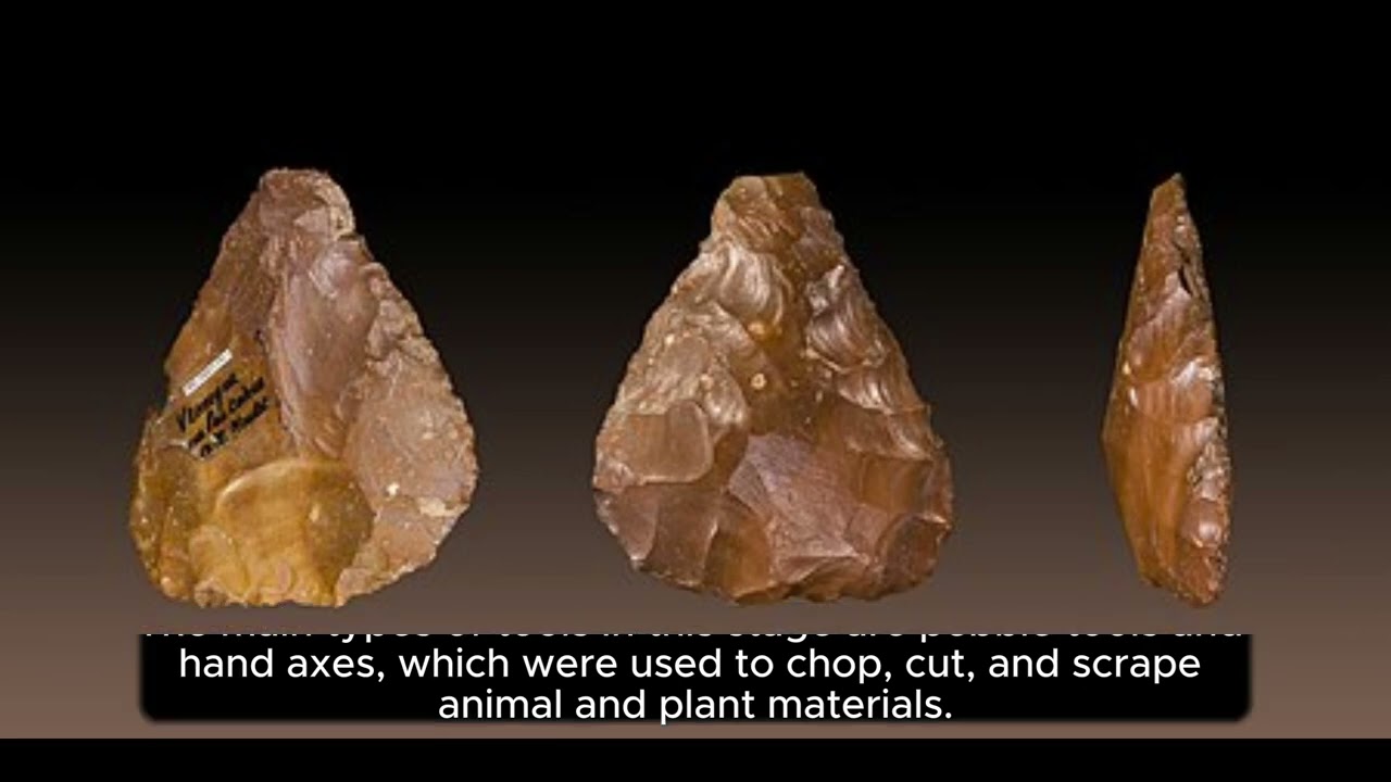 The Evolution of Human Species in the Paleolithic Age 