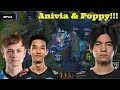 C9&#39;s Poppy Anivia Pocket Pick Is Too Much For Spica To Handle!!