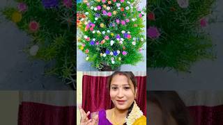Flower Garden 🔥Butrose 💖🤷🏻♀️ #salemponnusaranya #shortsviral #viralshort #subscribe