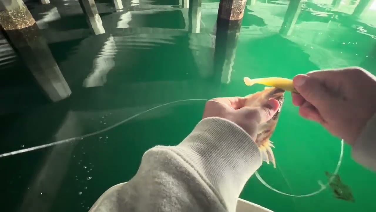 Plugging local holes for wintertime sandbass 