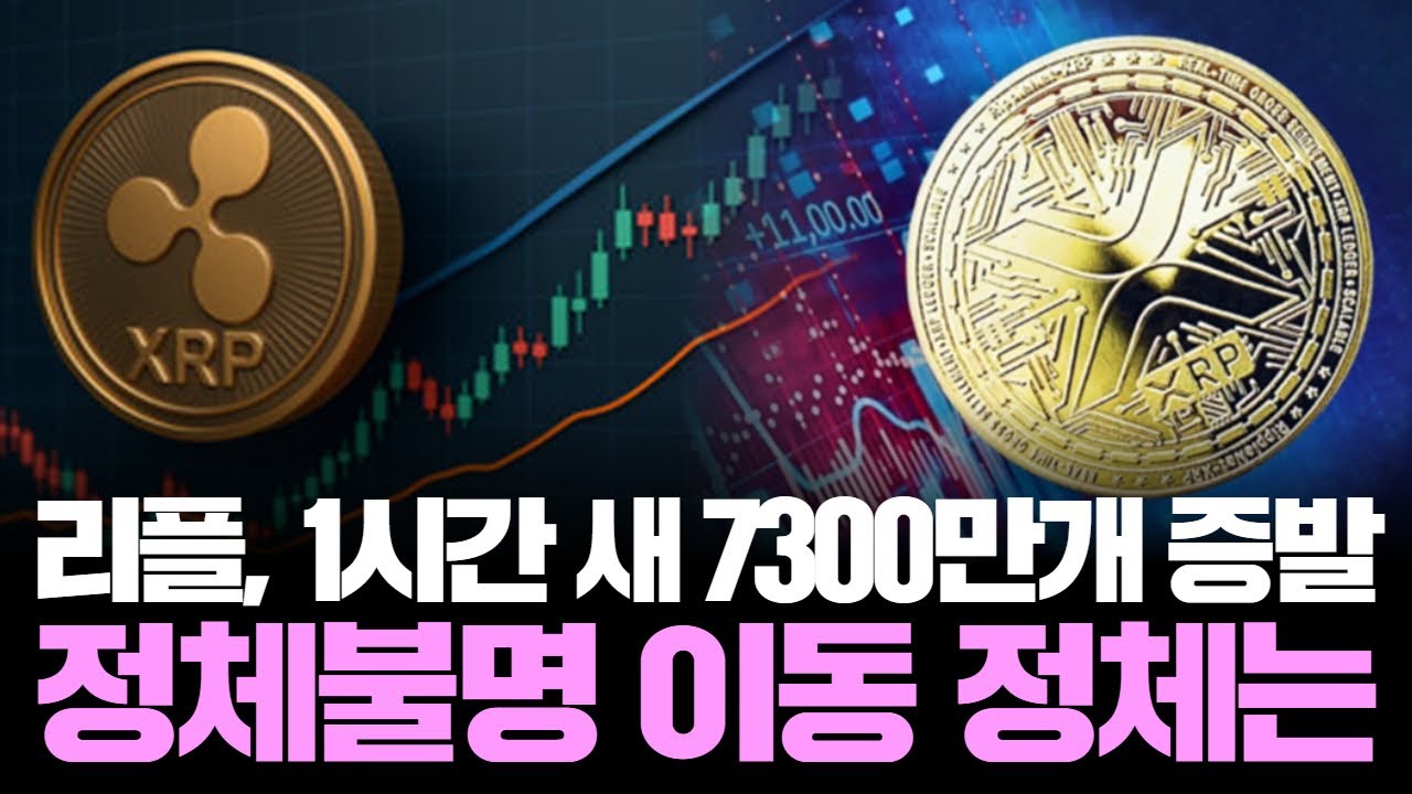 리플, 1시간 새 7300만개 증발…정체불명 이동 정체는 - YouTube