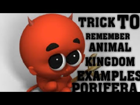 TRICKS TO REMEMBER ANIMAL KINGDOM EXAMPLES - YouTube