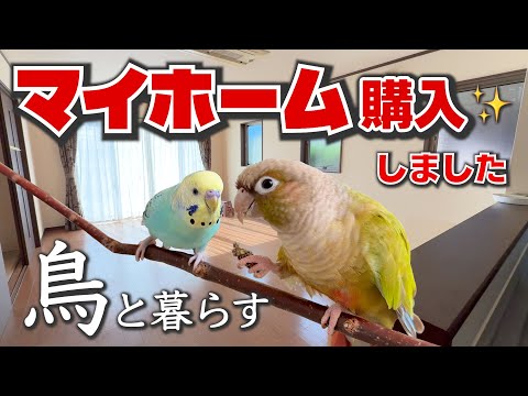 I bought a house to live with my birds [13-year-old used house