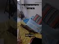 bagd billa funny moments #bagdbilla #catvideos #cats #shorts #short#trending