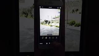 how to edit pic in iphone#virlvideo #shortvideo #software #information #earningapp #youtubeshorts screenshot 5