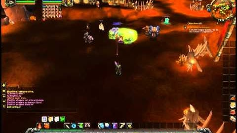 Hunter with 90 pets on the beta