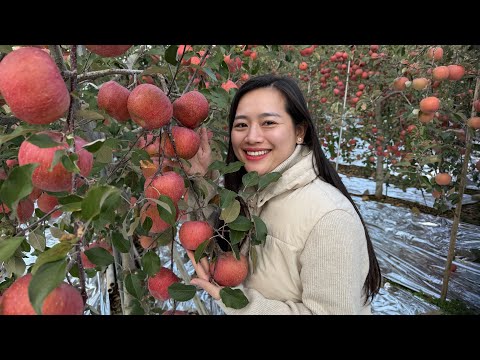 How Many Ounces of Silver Should You REALLY Be Holding Before It’s Too Late?