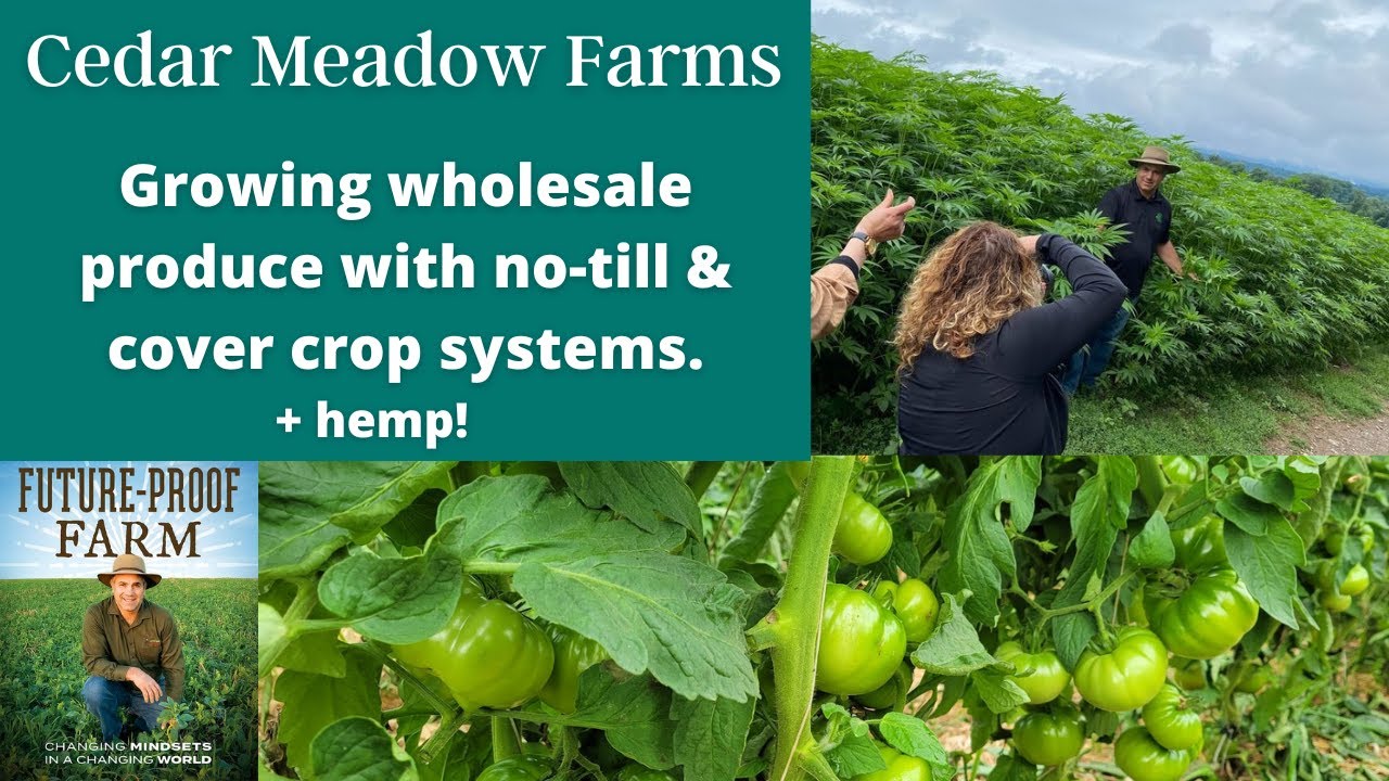 Steve Groff Increasing Topsoil with the NoTill Revolution at Cedar