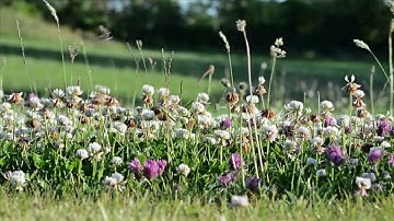تلاوة جميلة للشيخ : ياسر الدوسري " مقام الكرد "