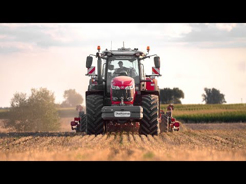 Siew Rzepaku 2023 ! ✔ Horsch Focus 4TD ☆ Roltoma ! ✔ Massey Ferguson ☆ Agriculture ! ✔ [PwO Team]