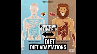 Comparison: Human vs. Animal Digestive Systems