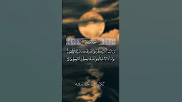القارئ اسلام صبحي اكسبلور القارئ القرآن الكريم Shorts Quran Islamicstatus قرآن 