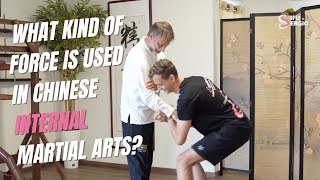What kind of force is used in Chinese Internal Martial Arts? screenshot 4