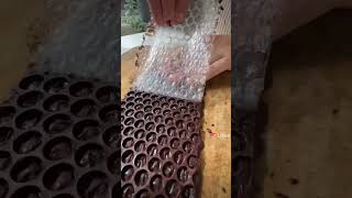 Sl.likee.videov1Hmfjg