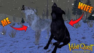 Finding a Wife  WolfQuest [P1]